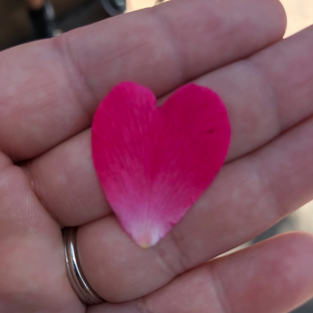 Meet your Posher, Rocio